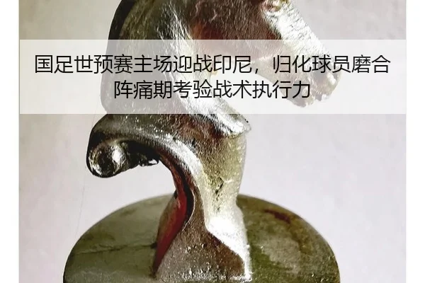 国足世预赛主场迎战印尼，归化球员磨合阵痛期考验战术执行力